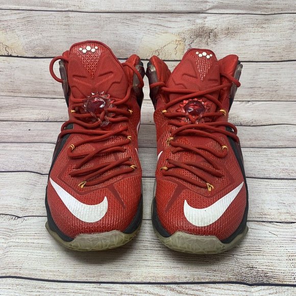 nike lebron 12 elite team